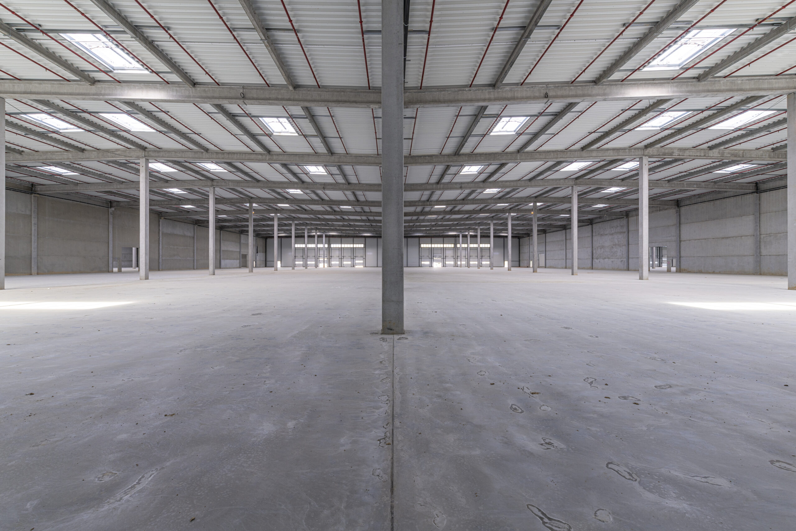 BIGS-BrieComteRobert-Serie1-02