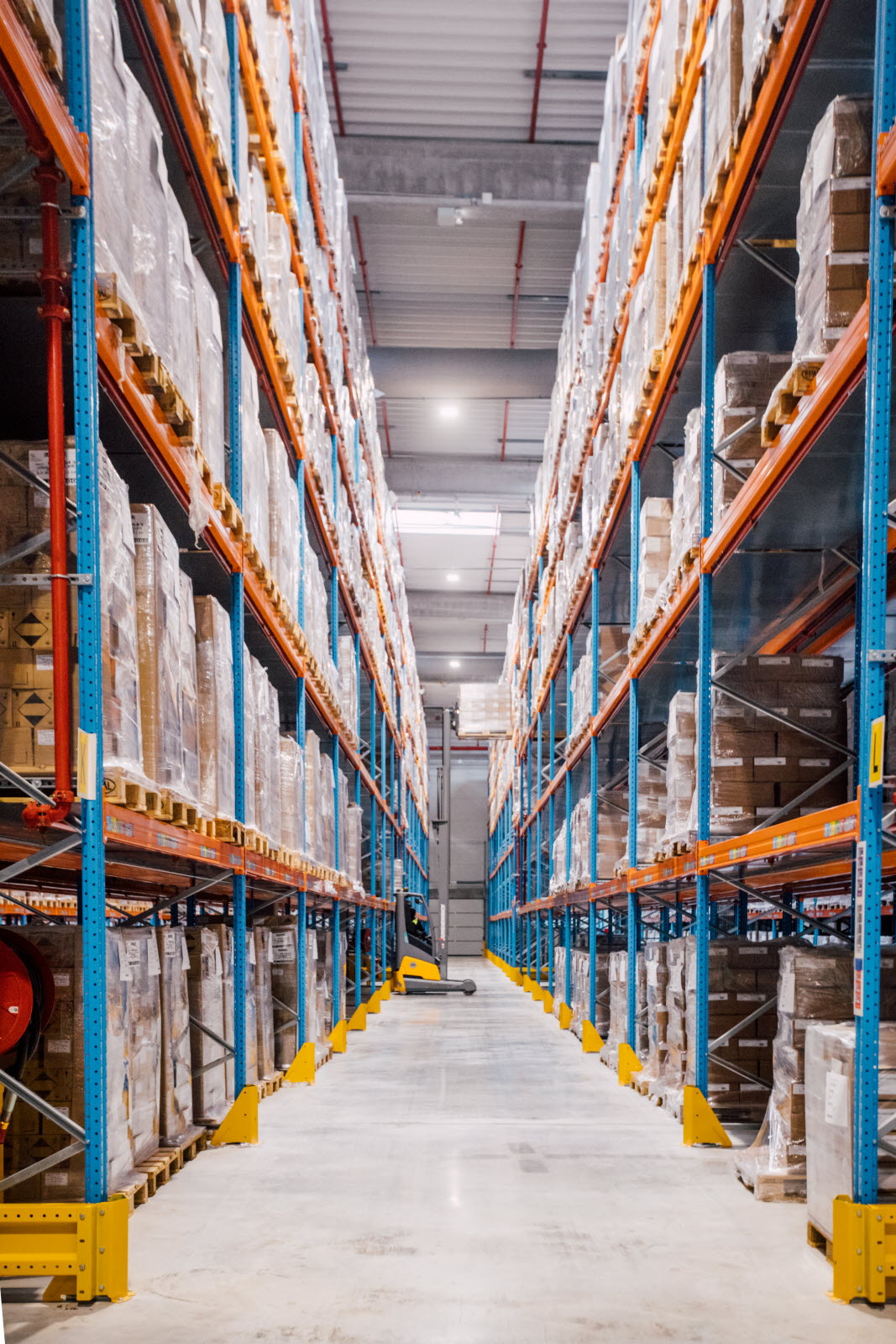 cache-sous-sur-et-au-milieu-des-rayons-un-impressionnant-systeme-anti-incendie-a-et